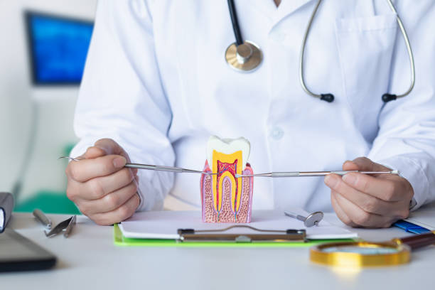 Best Emergency Treatment for Oral Infections in Romney, WV